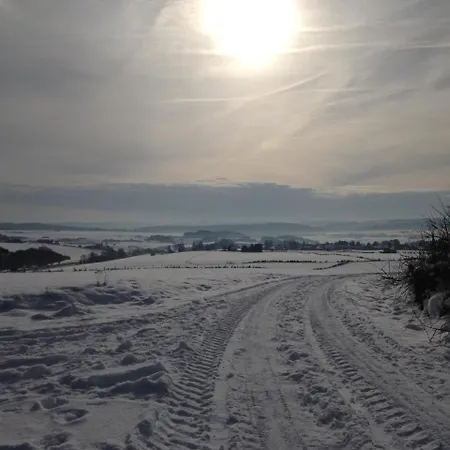 度假居 Eifelhaeuschen Am Waldrand 布兰肯海姆