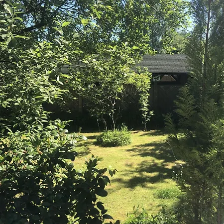 度假居 Eifelhaeuschen Am Waldrand